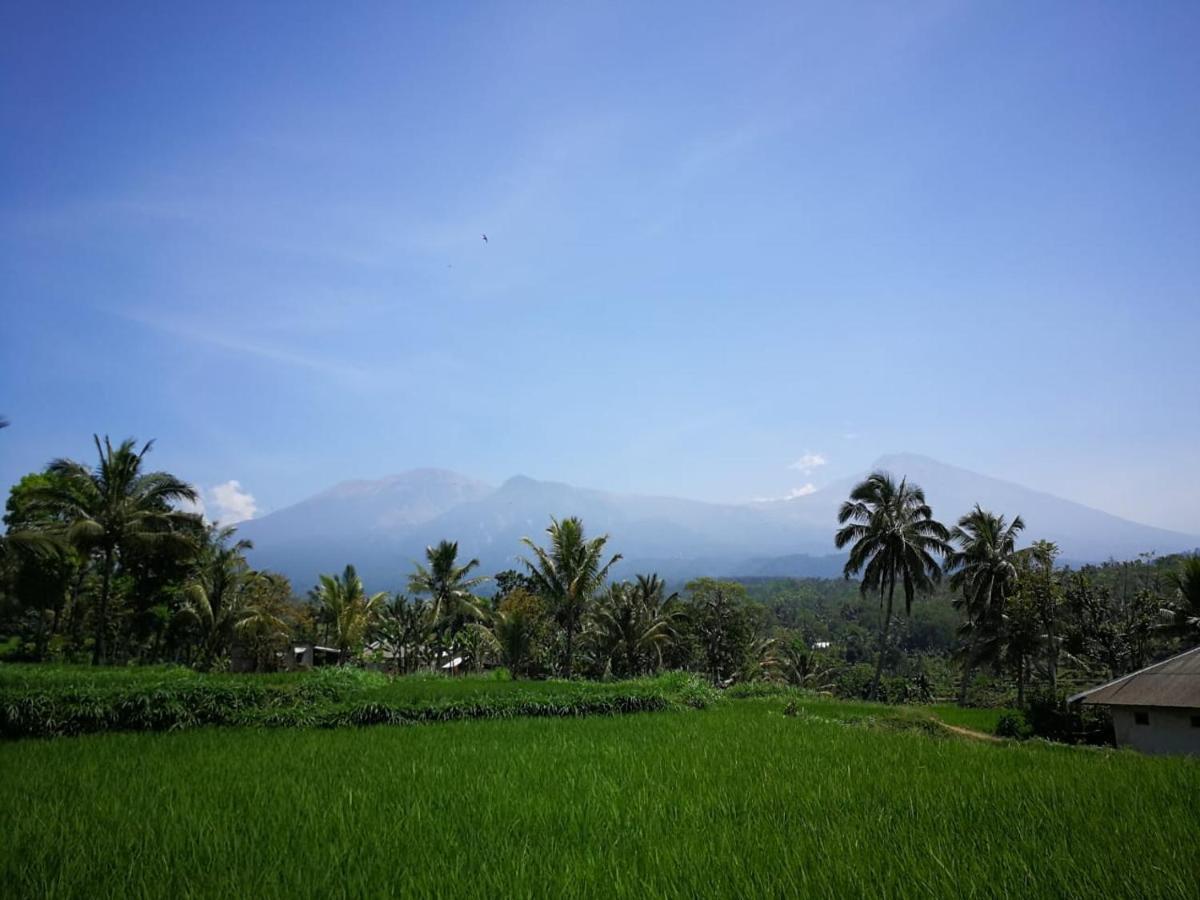 Ariata Arya Hostel Kuta  Екстер'єр фото